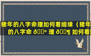 猪年的八字命理如何看姻缘（猪年的八字命 🐺 理 🐶 如何看姻缘好不好）